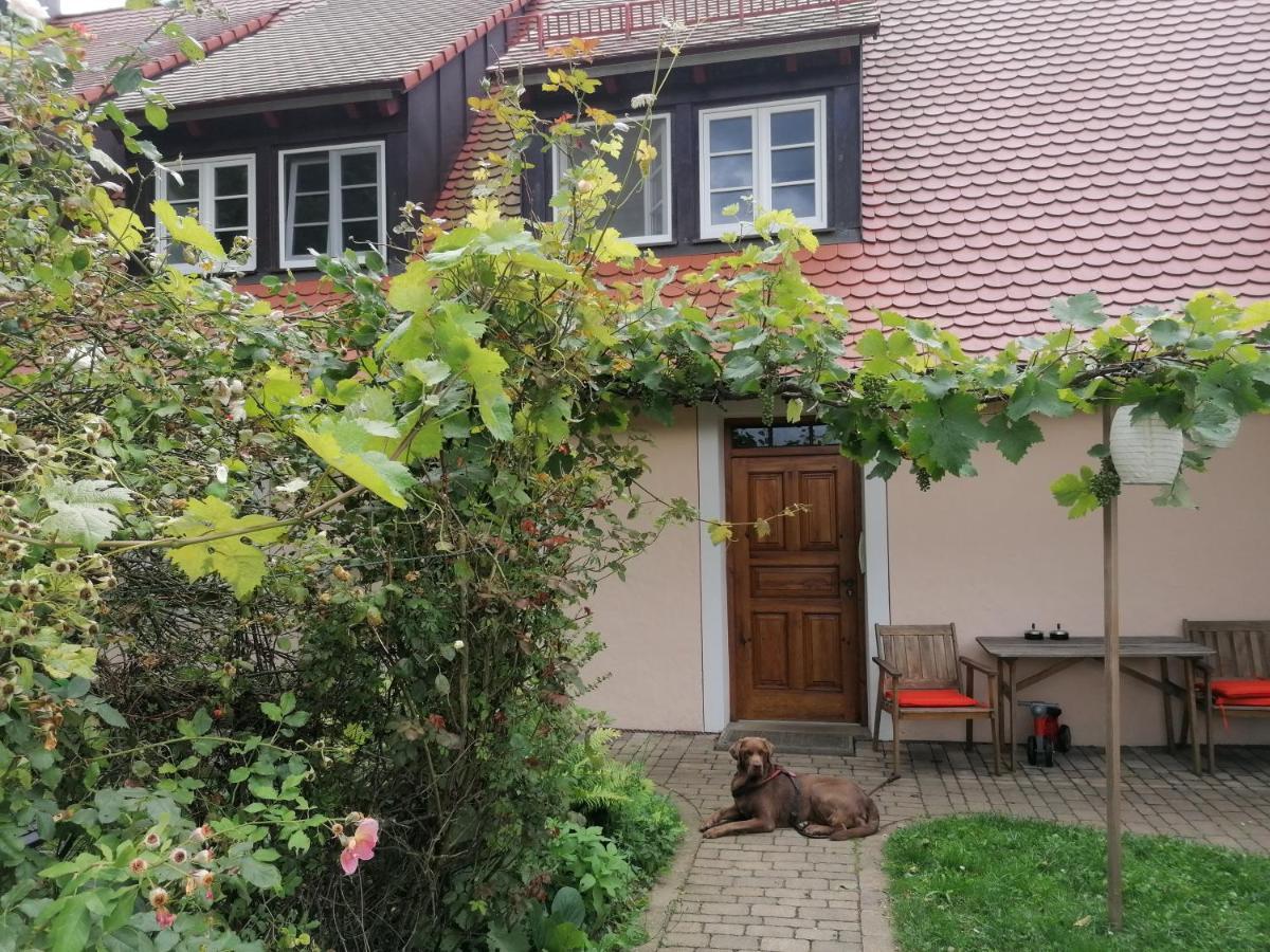 Ferienwohnungen Wastl Fraenkische Schweiz Hiltpoltstein 外观 照片